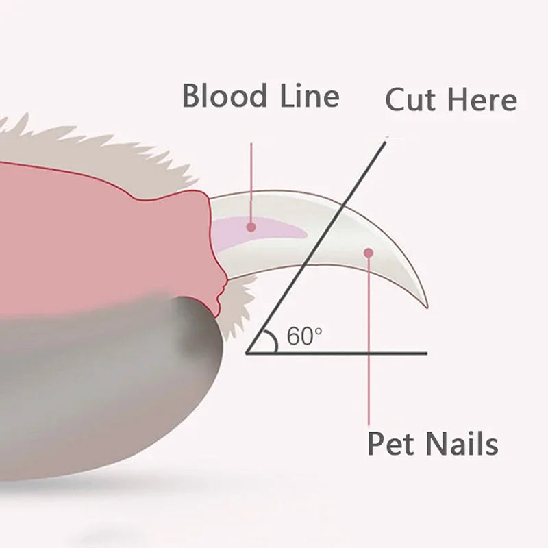 PetLuna™ Glow Nail Pro